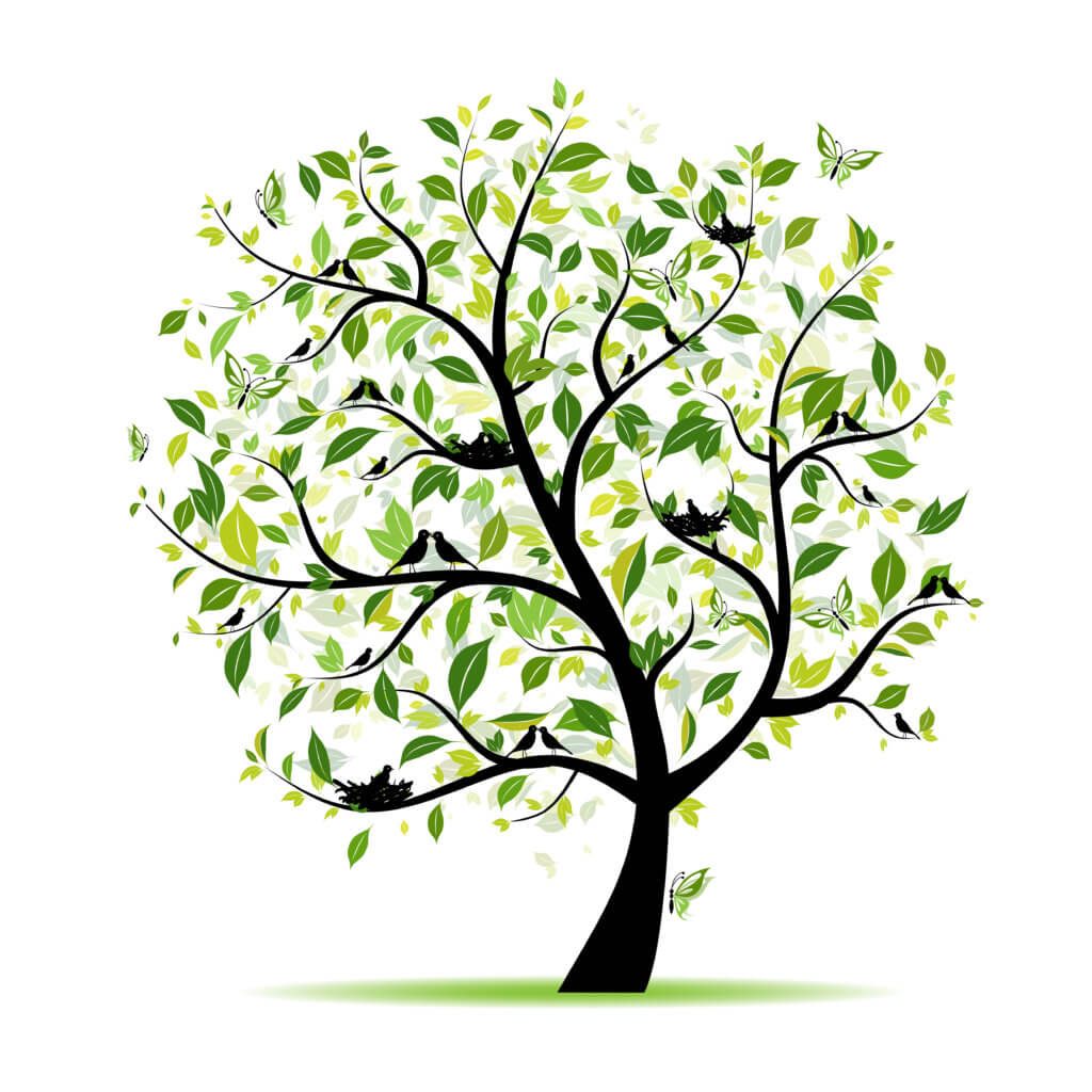 Days On The Tree Logo
